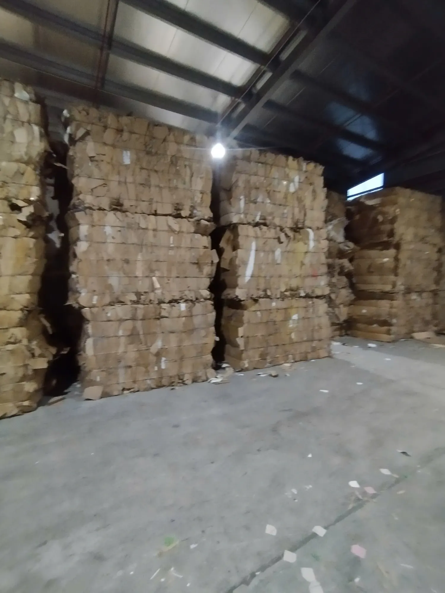 Hoạt động môi trường Đức Thắng 3
